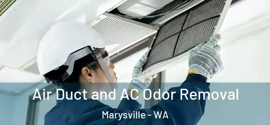  Air Duct and AC Odor Removal Marysville - WA