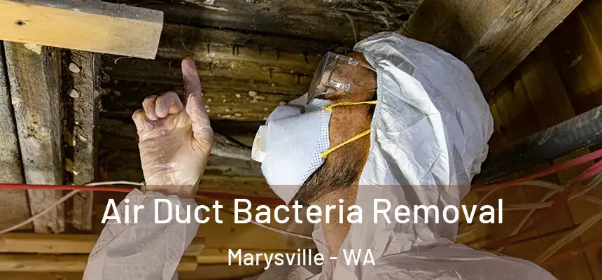 Air Duct Bacteria Removal Marysville - WA