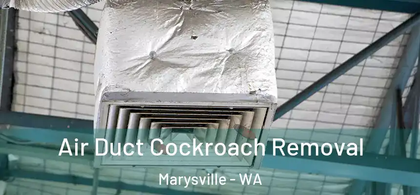  Air Duct Cockroach Removal Marysville - WA