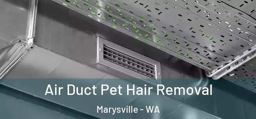 Air Duct Pet Hair Removal Marysville - WA