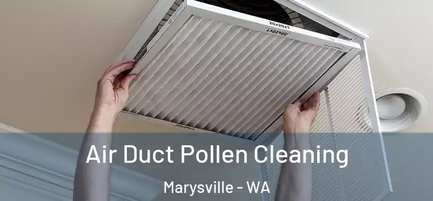  Air Duct Pollen Cleaning Marysville - WA