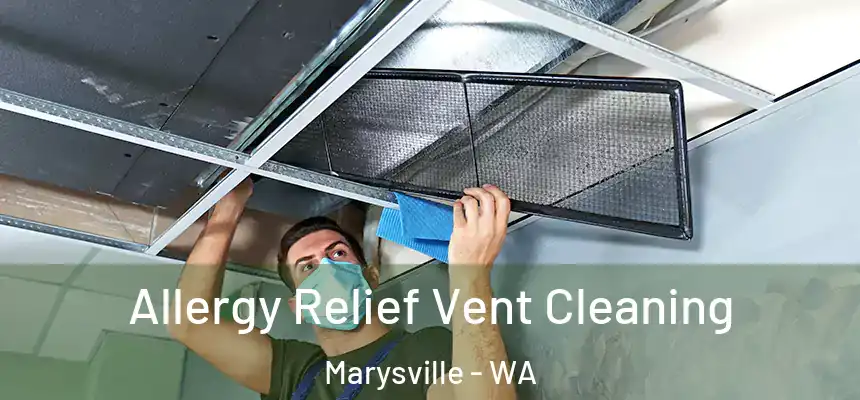Allergy Relief Vent Cleaning Marysville - WA