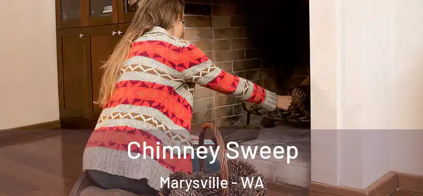  Chimney Sweep Marysville - WA