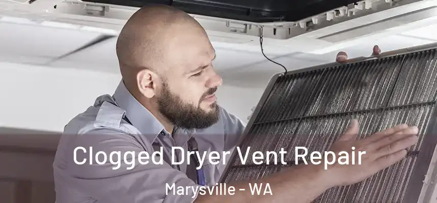  Clogged Dryer Vent Repair Marysville - WA