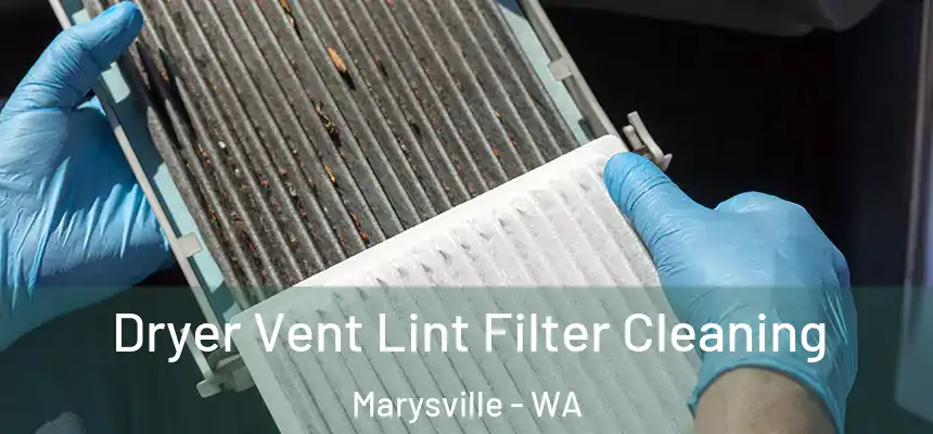  Dryer Vent Lint Filter Cleaning Marysville - WA