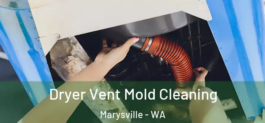  Dryer Vent Mold Cleaning Marysville - WA