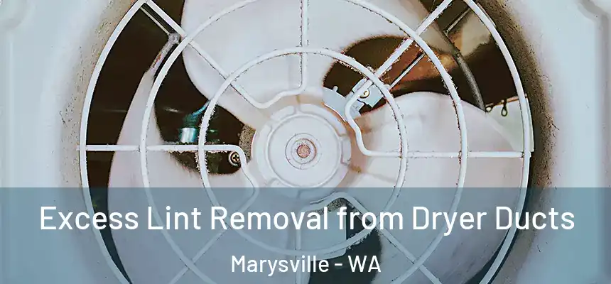 Excess Lint Removal from Dryer Ducts Marysville - WA