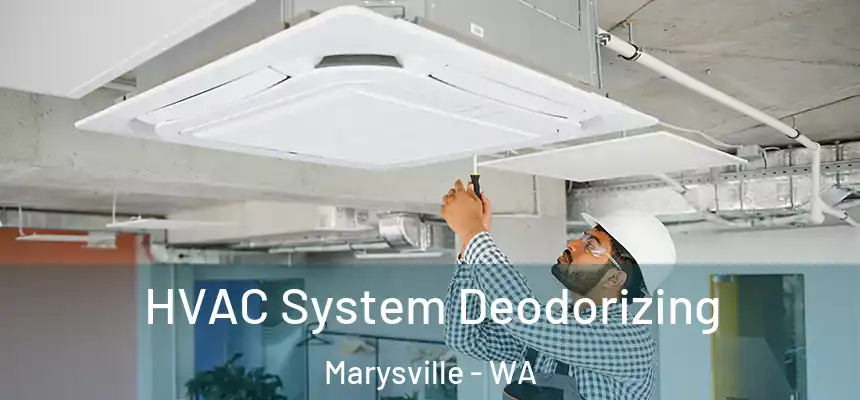  HVAC System Deodorizing Marysville - WA