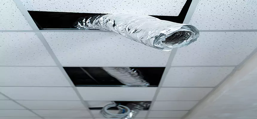 Affordable HVAC Sanitizing After Pest Removal in Marysville