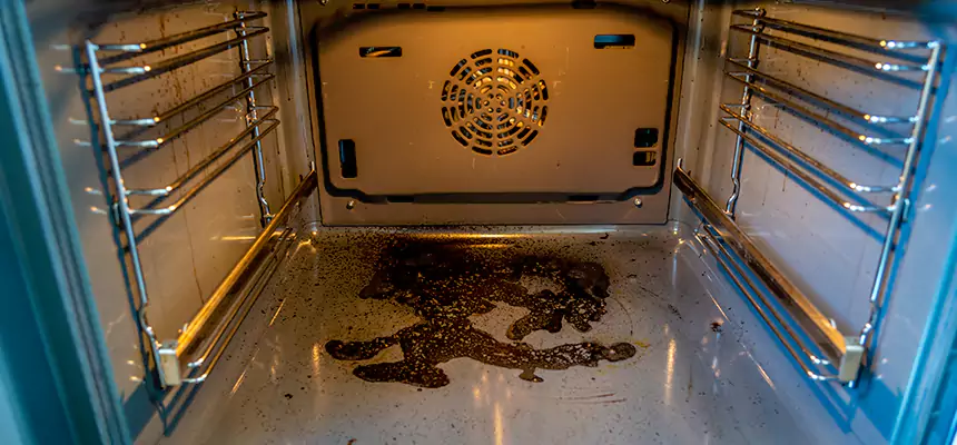 Our Dryer Vent Mold Cleaning Services in Marysville, WA