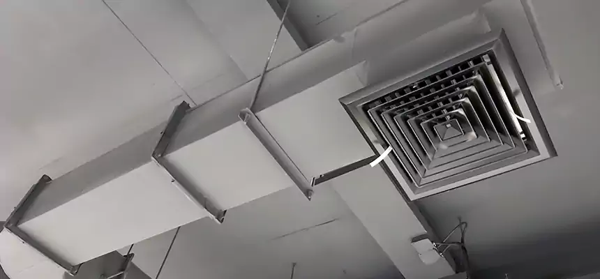 Our Pest Removal From Ducts Services in Marysville, WA