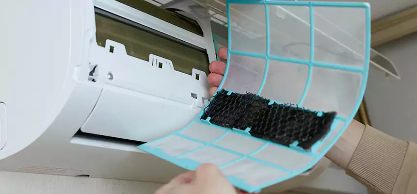 Gentle Ductwork Odor-Control Pet Dander Duct Cleaning in Marysville, WA