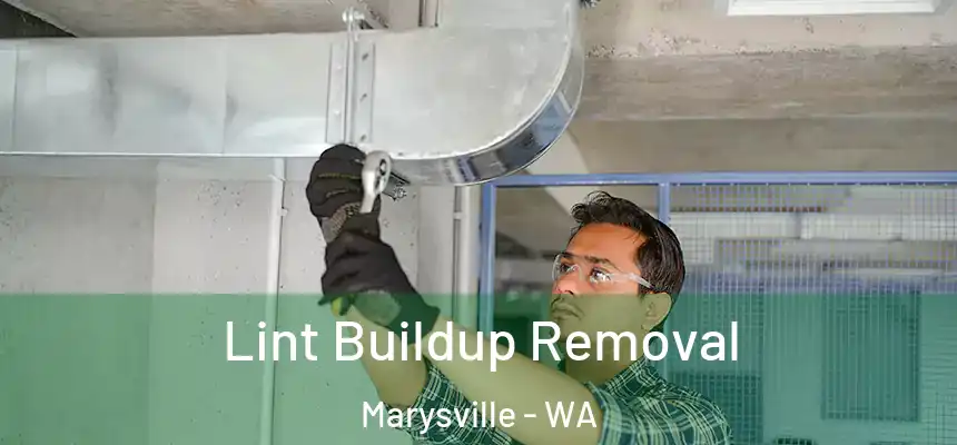  Lint Buildup Removal Marysville - WA