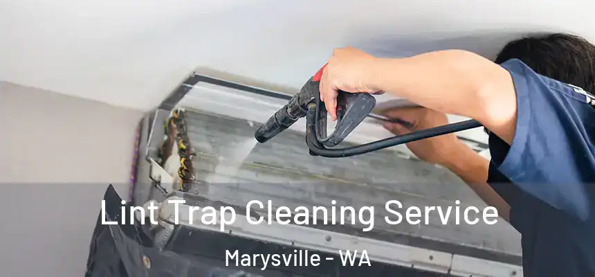 Lint Trap Cleaning Service Marysville - WA