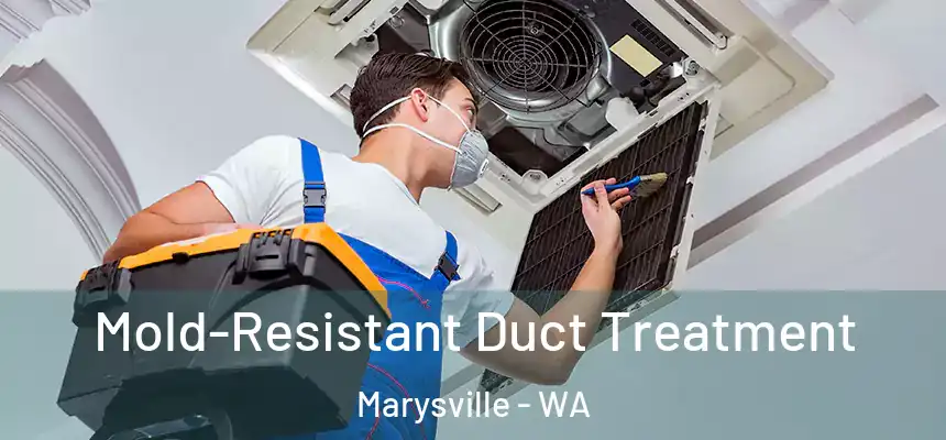  Mold-Resistant Duct Treatment Marysville - WA