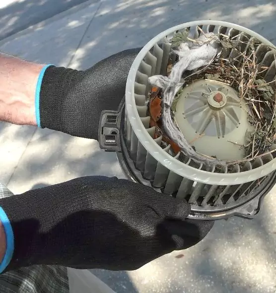 About Air Duct Mice Removal in Marysville, WA