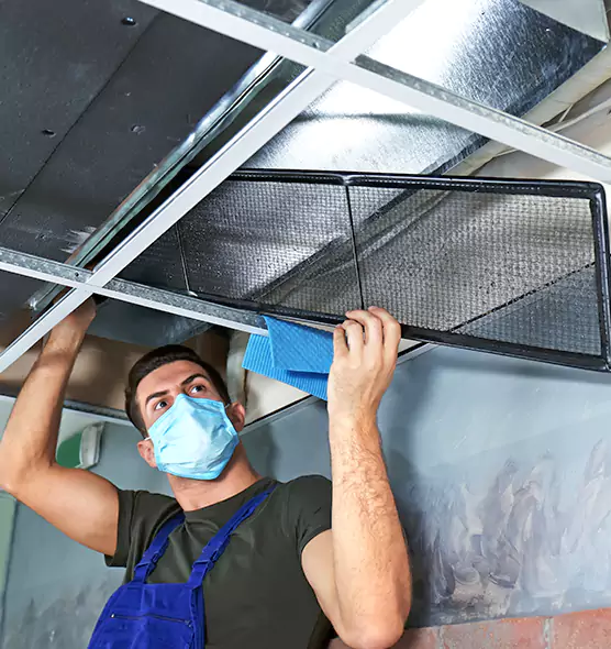 Professional Air Duct Pollen Cleaning in Marysville, WA