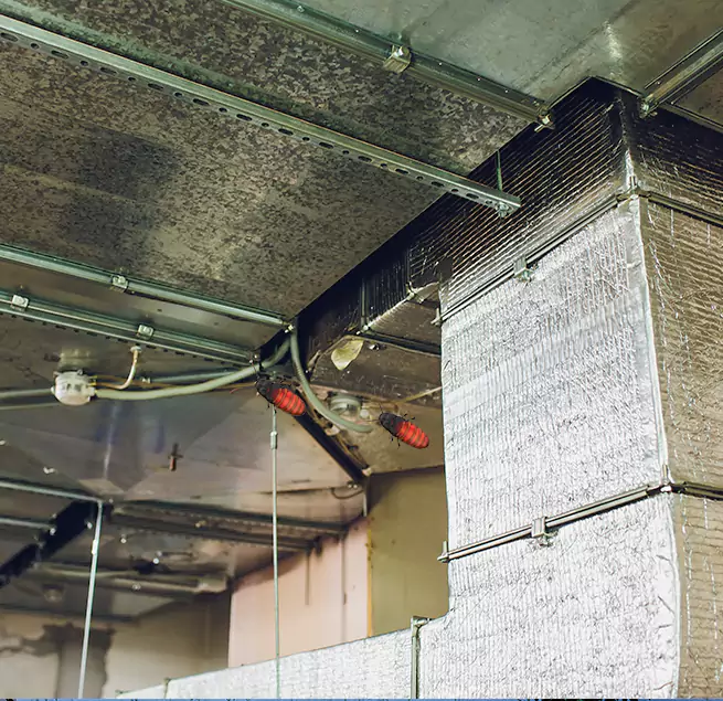 Why Homeowners & Businesses Trust Us in Marysville, WA?