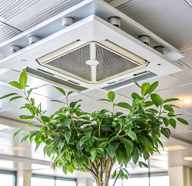 Why Homeowners & Businesses Trust Us in Marysville, WA